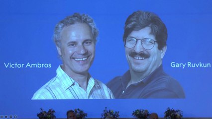 노벨 생리의학상에 앰브로스·러브컨..."마이크로 RNA 발견" / YTN