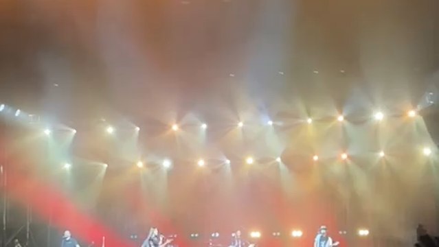 Rosas Oreja de Van Gogh