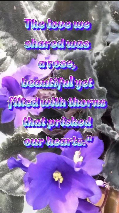 Alif-quotes life learn everyday quotes