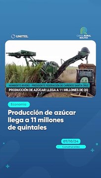 Producción de azúcar llega a 11 millones de quintales
