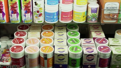 Slice of Life The American Dream. In Former Pizza Huts. Trailer