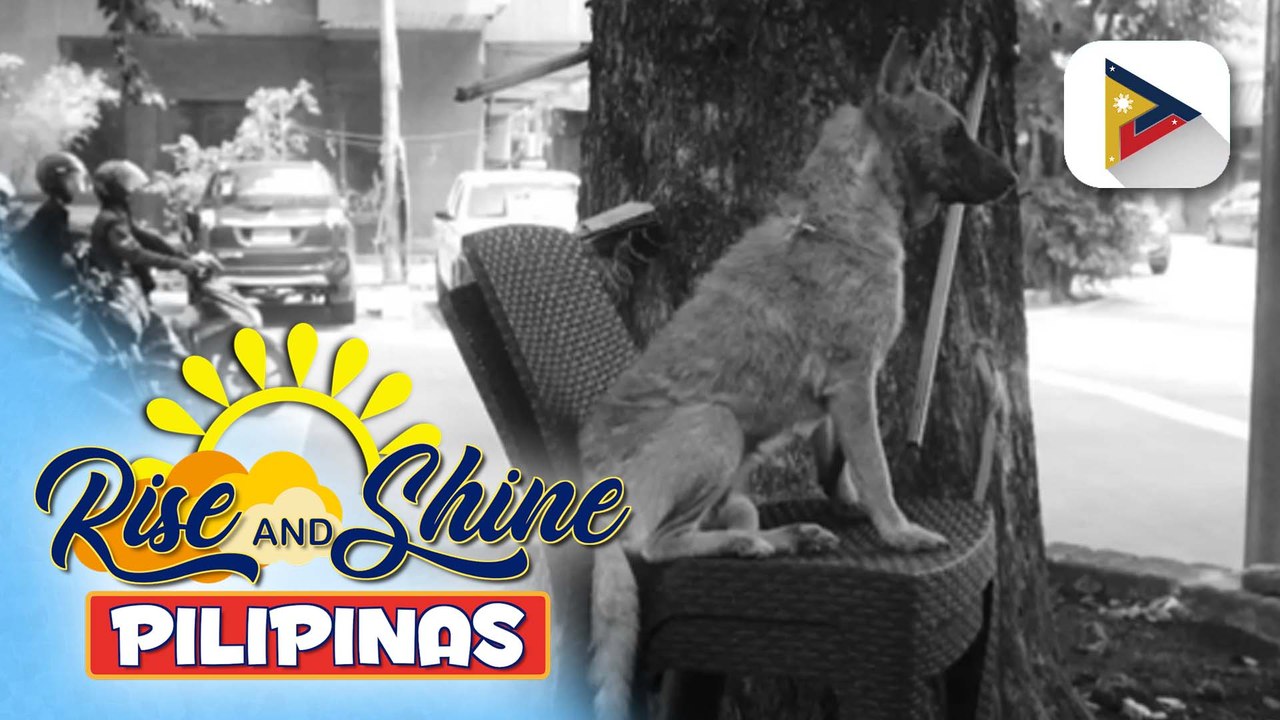 TALK BIZ | Louis Partridge, pinakilig ang fans after mag-share ng ilang pictures sa kaniyang PH trip kasama ang girlfriend na si Olivia Rodrigo!