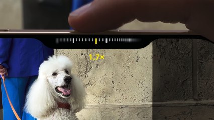 Unlock Advanced Photography with iPhone 16 Pro’s Camera Control 📱