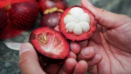 Why mangosteen, the viral TikTok fruit, is so expensive
