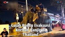 Gajah Bantu Evakuasi Korban Banjir