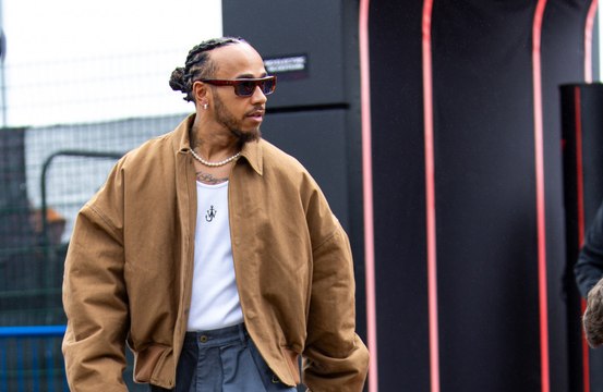 Lewis Hamilton’s dog has been transformed by being put on a vegan diet