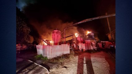 경기 가평서 돈사 화재...돼지 995마리 폐사 / YTN