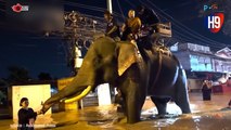 Gajah Dikerahkan Bantu Evakuasi Banjir di Thailand Utara