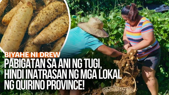 Pabigatan sa ani ng tugi, hindi inatrasan ng mga lokal ng Quirino Province! | Biyahe ni Drew