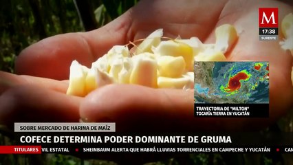 Cofece señala a Gruma por participación dominante en el mercado de harina de maíz en México