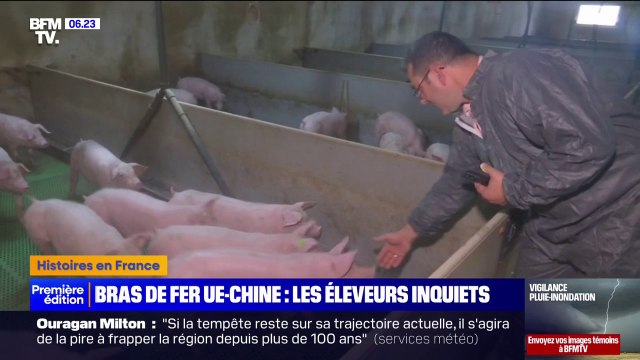 Hausse des droits de douane avec la Chine: l'inquiétude des producteurs de porcs français