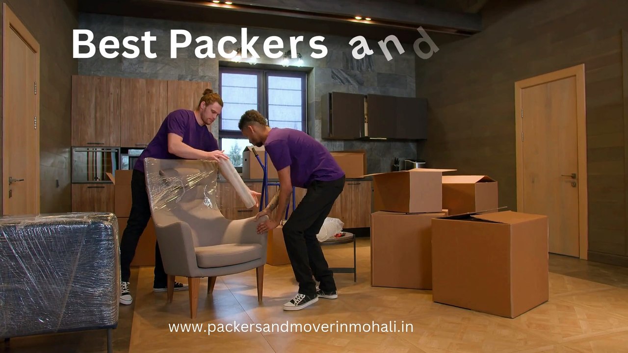 Best Packers and Movers Service 2024