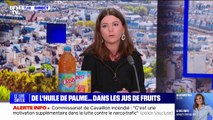 Jus de fruits, biscotte, soupe: pourquoi trouve-t-on de l'huile de palme dans ces produits?
