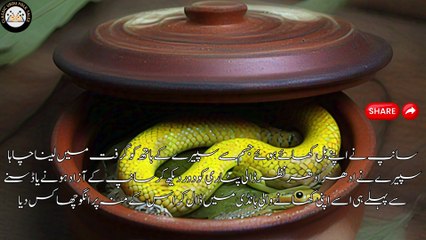 Thieving monkey | چور بندر | Interesting  Story | Animal Stories