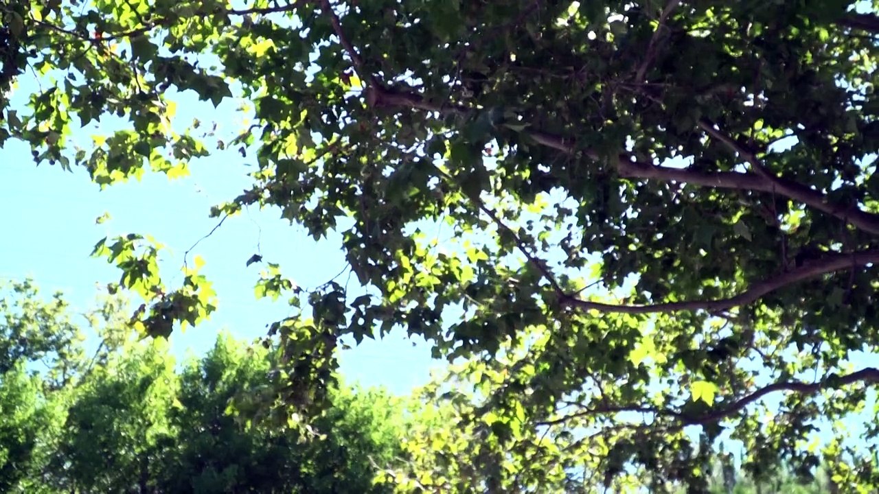 US-Justiz erwägt Zerschlagung von Google