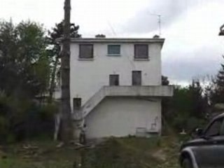 Julo Abattage cedre caluire