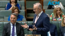 'Have you got Tourettes or something':  Anthony Albanese under fire over disability remark in parliament