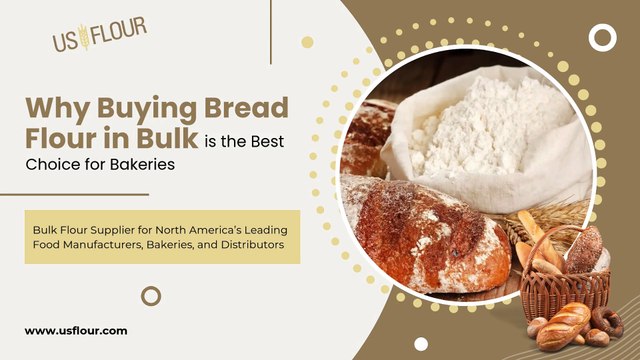Why Buying Bread Flour in Bulk is the Best Choice for Bakeries