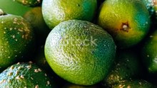 Discover the Power of Calamansi: The Tiny Citrus with Big Benefits!