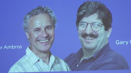 Le Nobel de médecine décerné aux Américains Ambros et Ruvkun