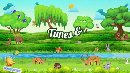 ABC Fun Song | Learn Alphabet A to Z | Sing Along Kids Songs