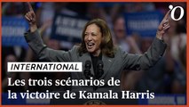 Présidentielle américaine: les trois scénarios de la victoire de Kamala Harris