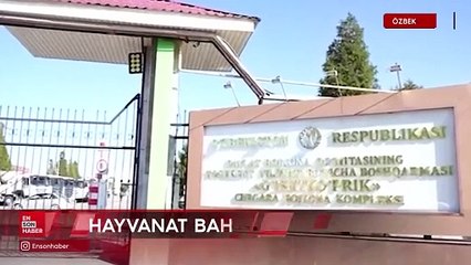 Özbekistan'da yolcunun el bagajından 3 metrelik piton çıktı