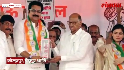 भाजपसह दादांनाही फटका,विधानसभा निवडणुकीसाठी शरद पवारांची रणनीती