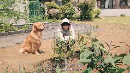 M!tsuya Sense! n0 Ke!kakutek!na Ezuke. EP6 Eng Sub