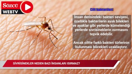 Sivrisinekler neden bazı insanları ısırmaz?