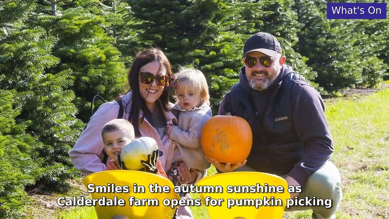 Halifax Courier Morning Update 8 October, 2024