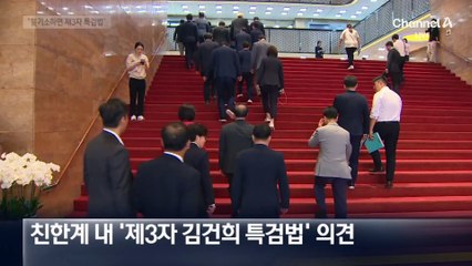 친한계 내 “김 여사 기소해야” 목소리도