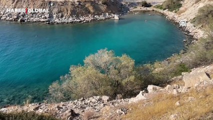 Atina'da Yengeçlerin “ekmek kavgası" kameraya yansıdı