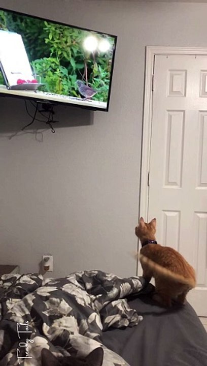 I Believe I Can Fly, I Believe I Can Touch The Sky