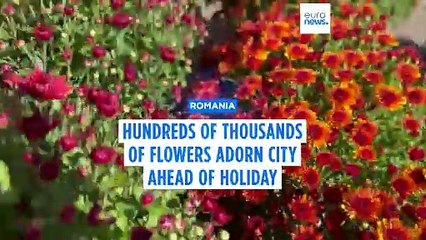 Thousands of flowers adorn Romanian city of Iași for Saint Paraskeva holiday