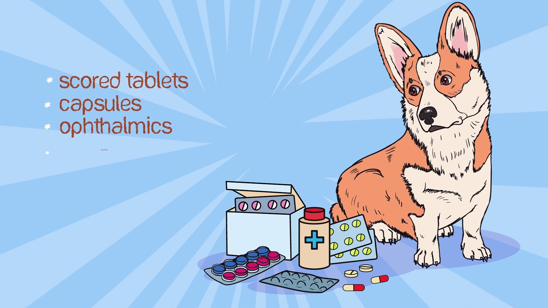 ⁣Promotional Explainer Video for Petscript by Whimsitoons | 2D Animation | Motion Graphic