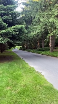 Lamborghini Aventador SVJ #supercar #car