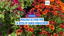 Romania: migliaia di fiori adornano la città di Iași per la festività di Santa Parascheva