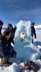 "Frozen Skinwalkers Discovered in Antarctica Follow For More Videos Have Trending reels"...!!