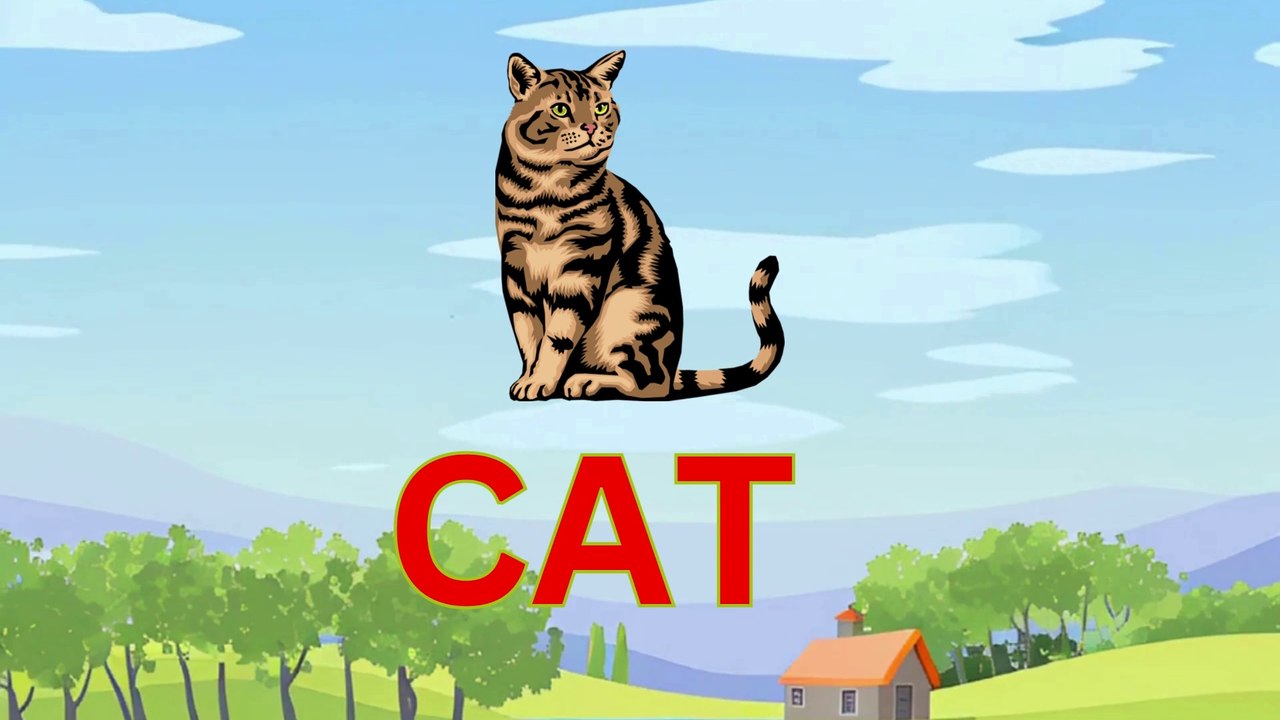 Learn Animal Names | Learn with Kids