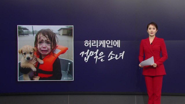 허리케인에 떨던 소녀...알고 보니 AI가 만든 가짜 [앵커리포트] / YTN