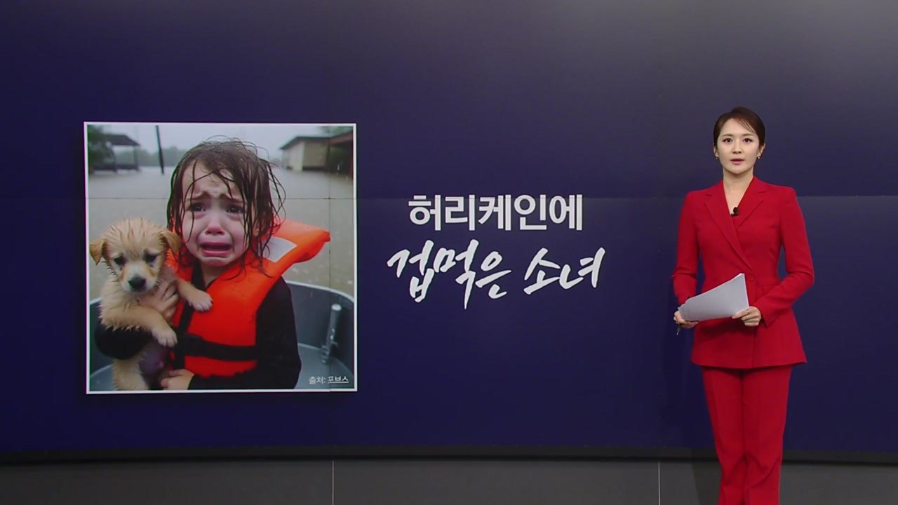 허리케인에 떨던 소녀...알고 보니 AI가 만든 가짜 [앵커리포트] / YTN