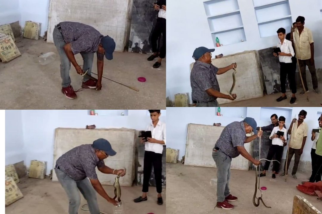 एक ऐसा शख्स जिसने पांच हजार से अधिक सांपों को प...