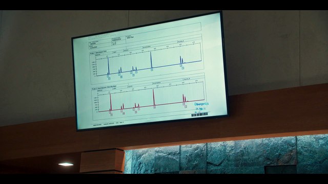 Cruce de acusaciones - Tráiler español