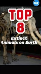 Top 8 Extinct Animals on Earth