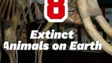 Top 8 Extinct Animals on Earth