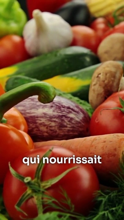 Anxiété et Inflammation Chronique  Partie 3 sur 3