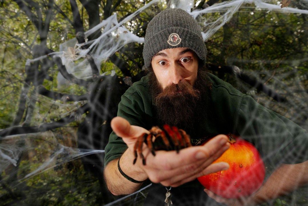 Haunted Trails For Halloween Opens at Exotic Zoo in Telford