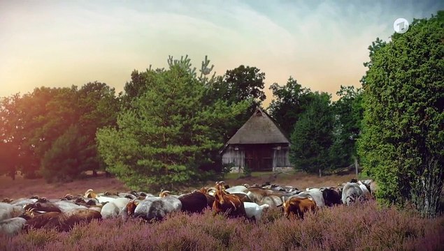 Rote Rosen 4036 folge