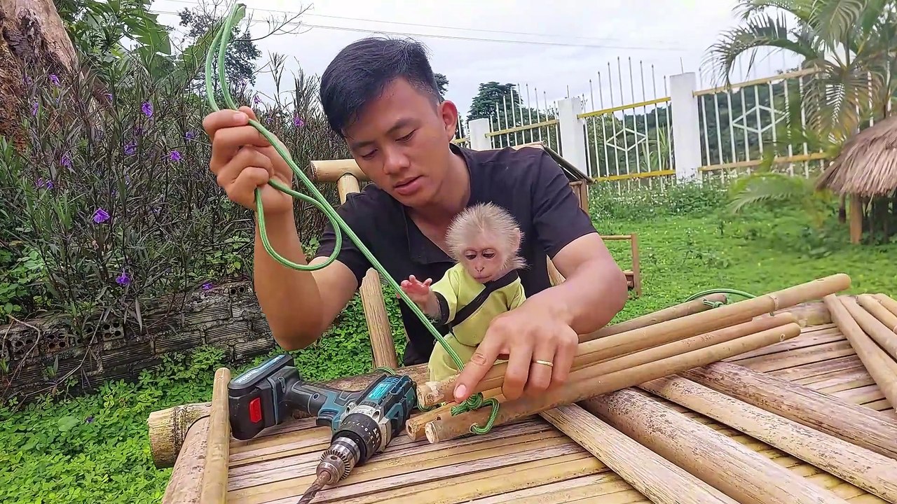Emotional monkey Bon always loves his dad and never leaves him